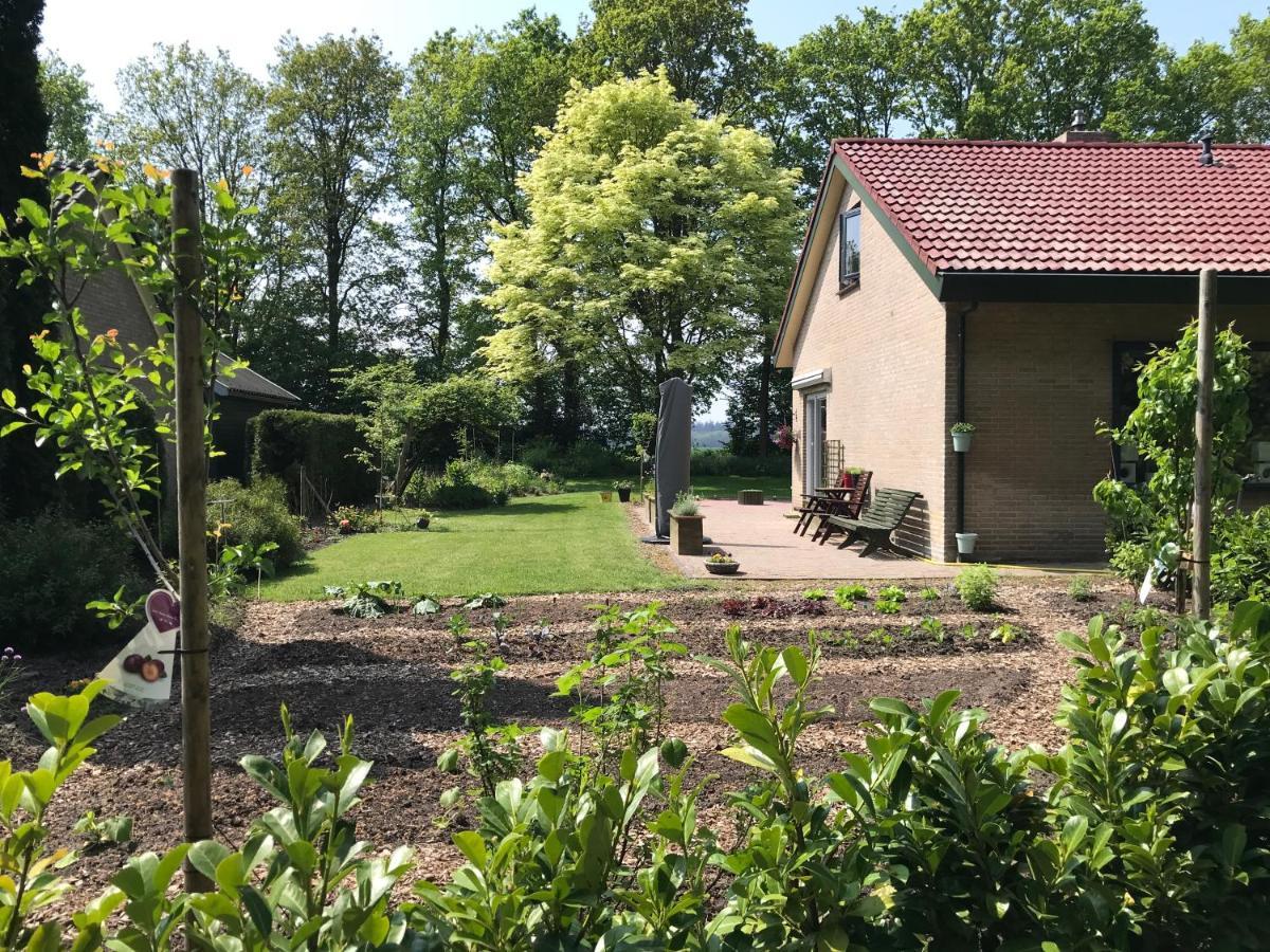 Het Uilennest Bed & Breakfast Exloo Dış mekan fotoğraf